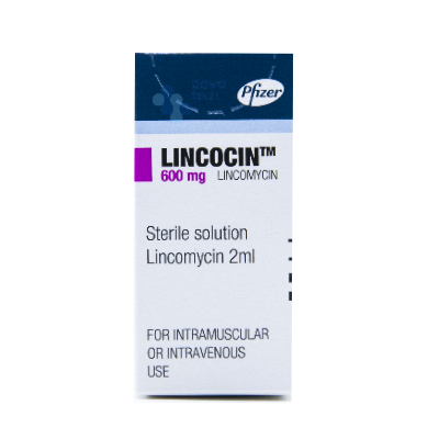 LINCOCIN 600 VIAL