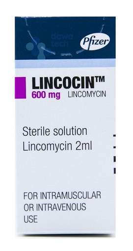 LINCOCIN 600 VIAL